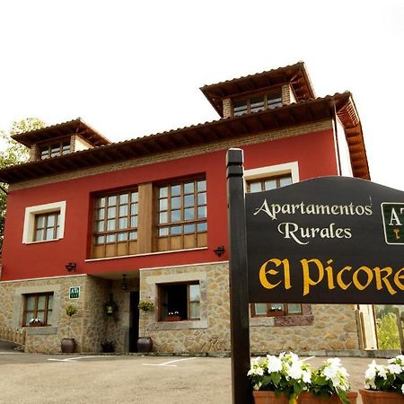 Apartamentos El Picoretu Mestas De Con Kamer foto