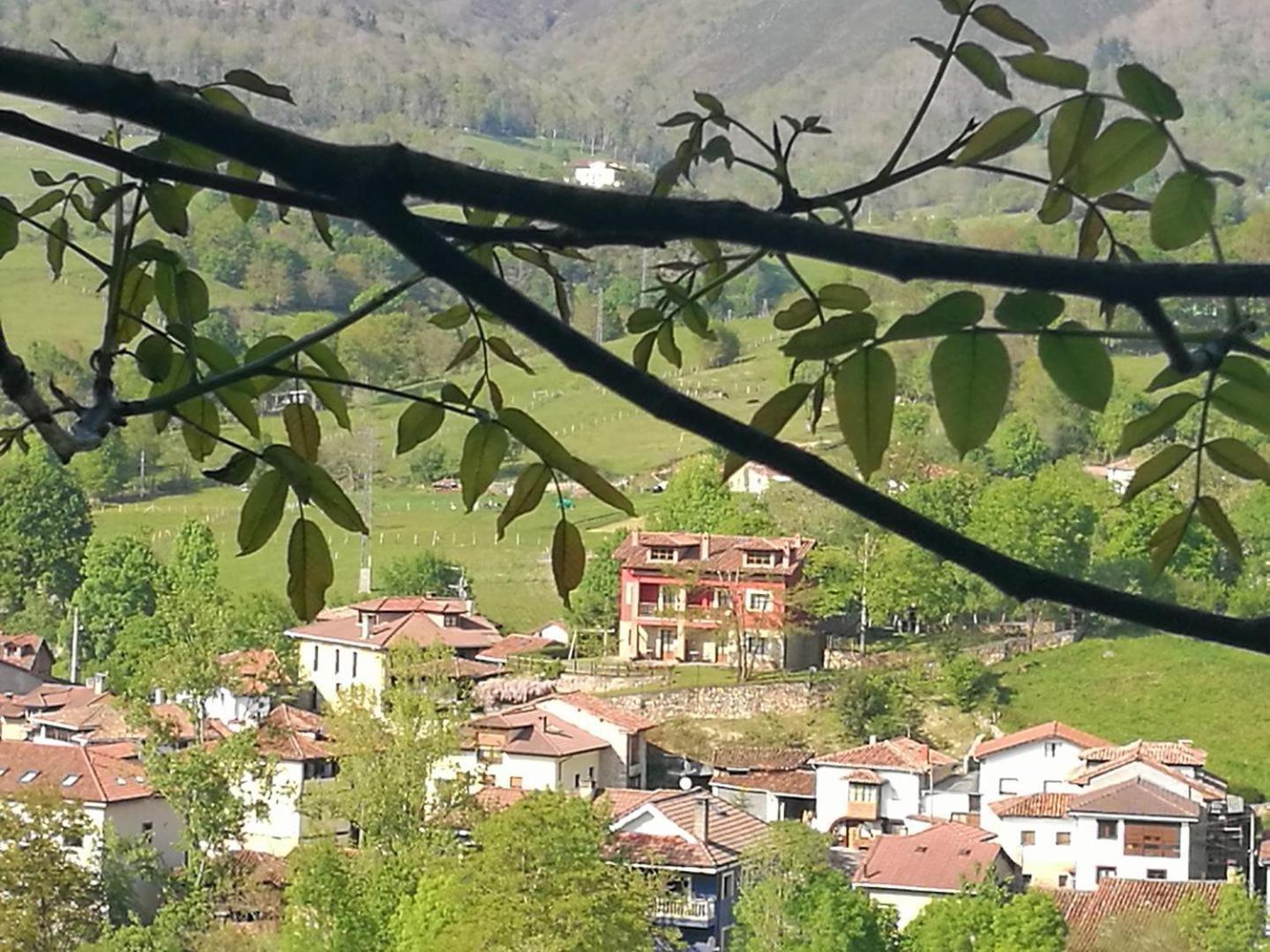 Apartamentos El Picoretu Mestas De Con Buitenkant foto